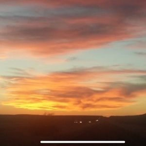 Meet your Posher, Frank